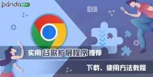 google-15